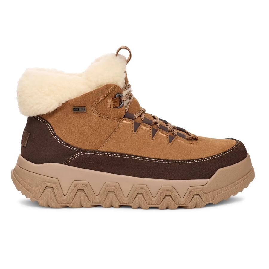 TERRETRAIL COZY LACE - CHESTNUT Photo